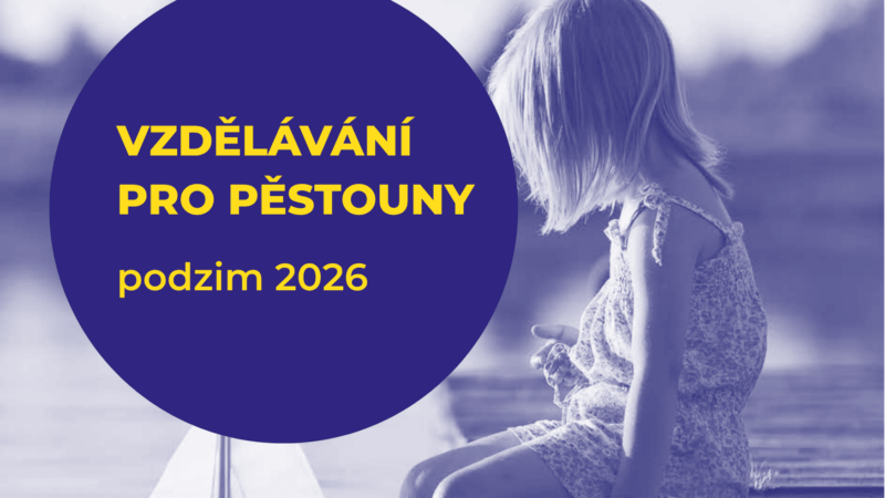 VZDĚLÁVÁNÍ PRO PĚSTOUNY